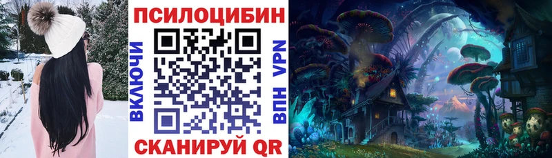 купить наркотик  Миньяр  Псилоцибиновые грибы Psilocybe 